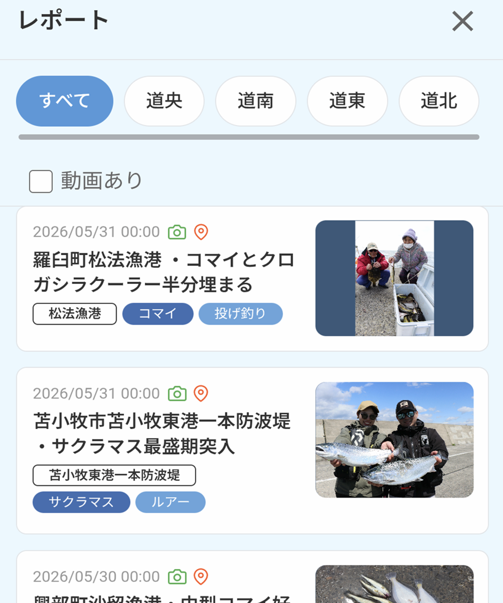 レポート 1