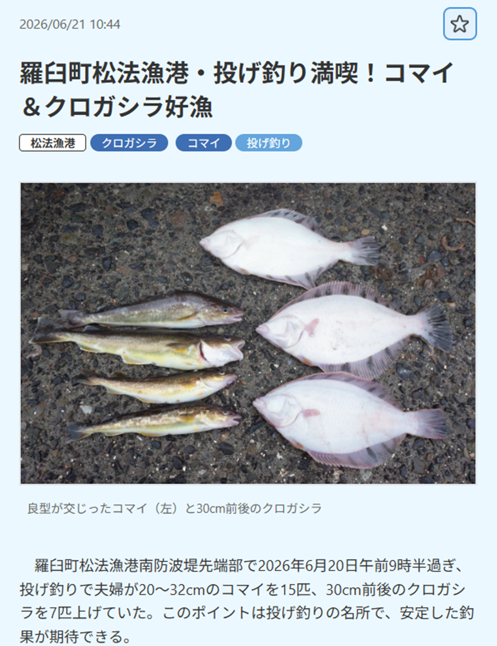 レポート 2