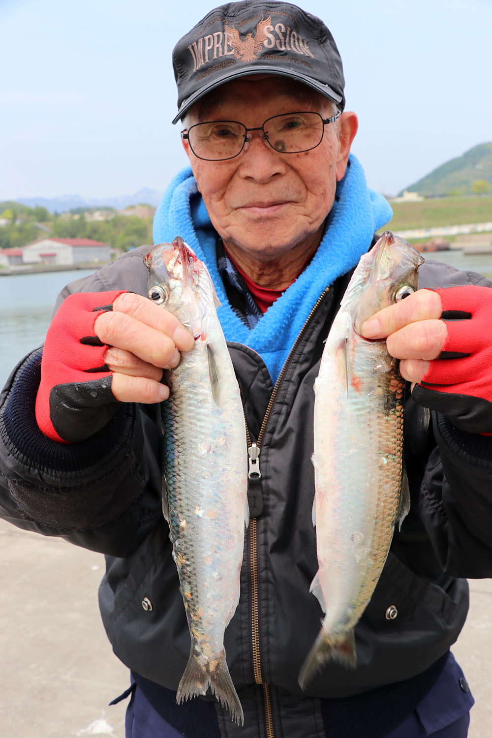 北海道道北チカ、ニシン釣りに。自動しゃくり機 小売業者