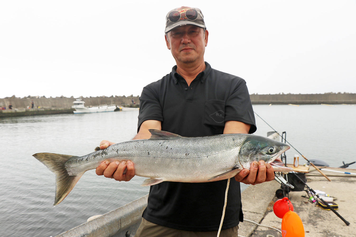 北海道厚田漁港 西防波堤 サイズはF30号(72.7✕91cm) □追直漁港外