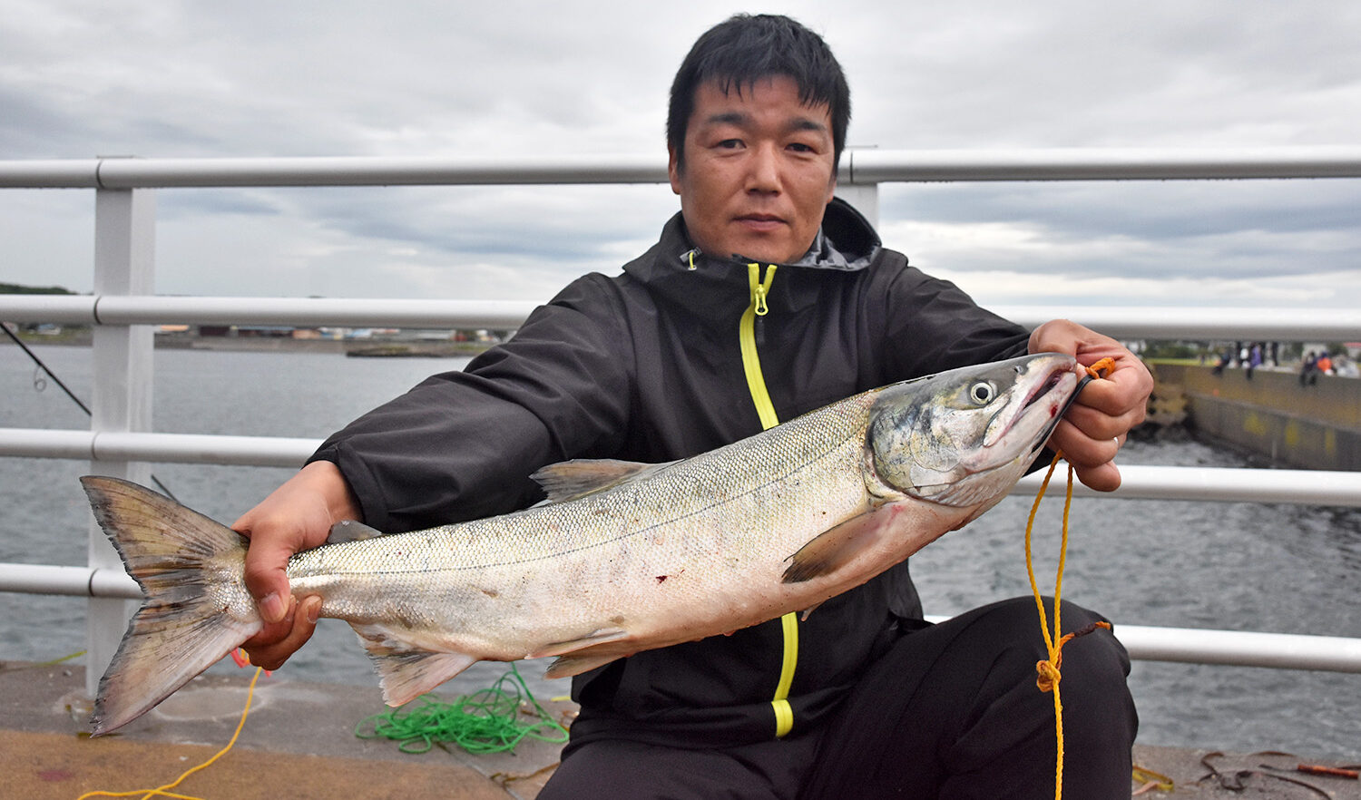 北海道厚田漁港 西防波堤 サイズはF30号(72.7✕91cm) □追直漁港外