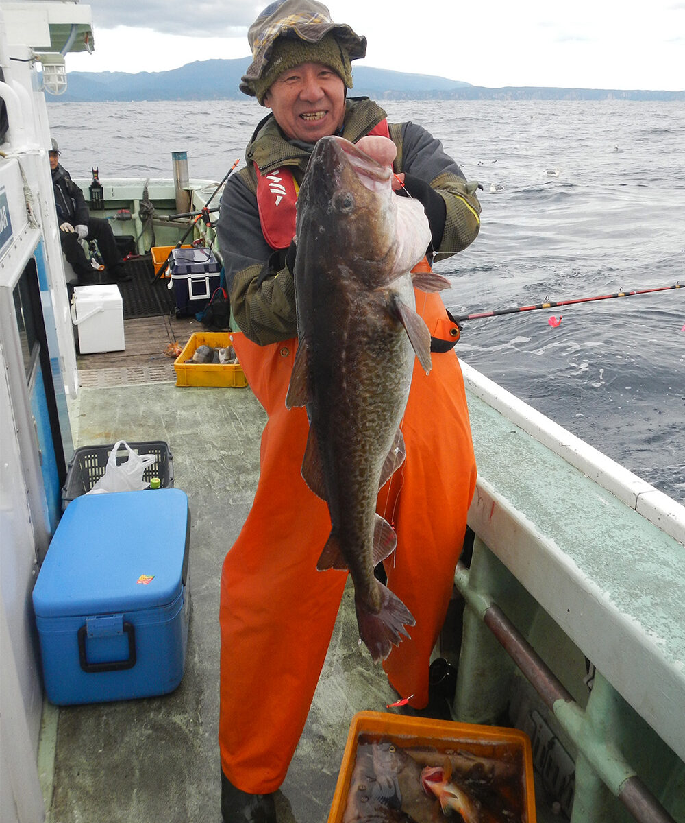 古平沖】タチ入りマダラ好漁。50cm超えメガホッケも | つりしん