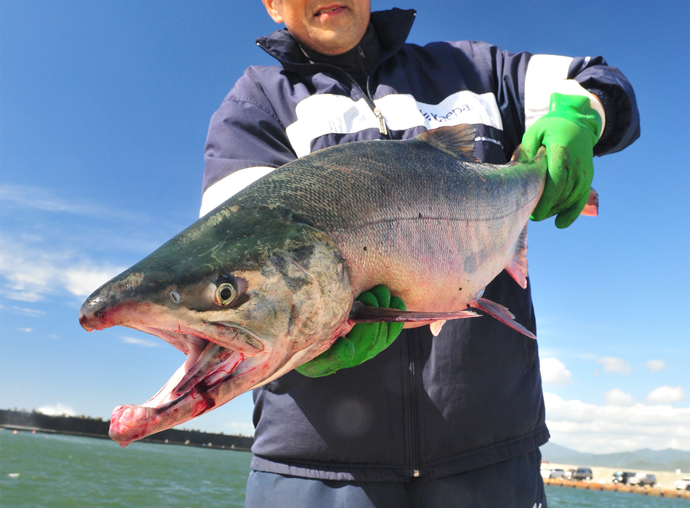 釣り人 maxresdefault.jpg