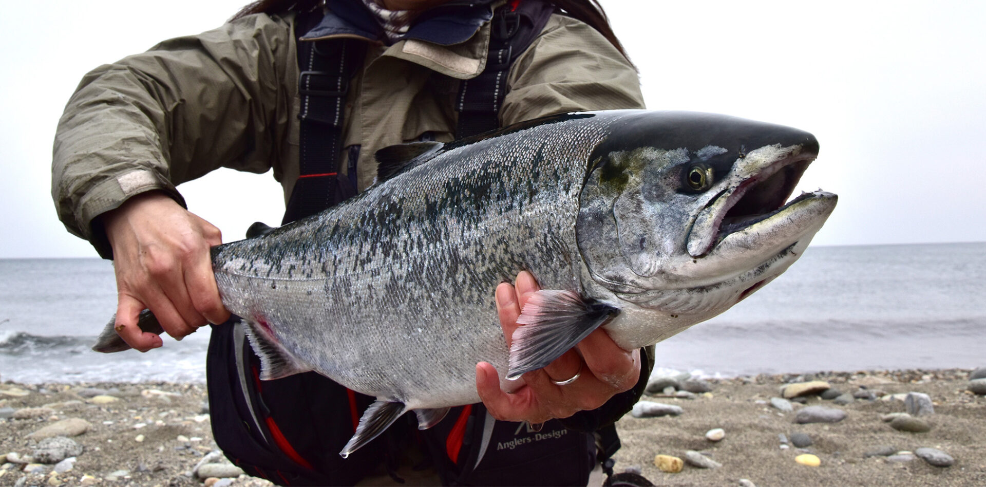 十勝の大海原で釣る海サクラマスと海アメマス 〜南十勝編〜 | つりしん