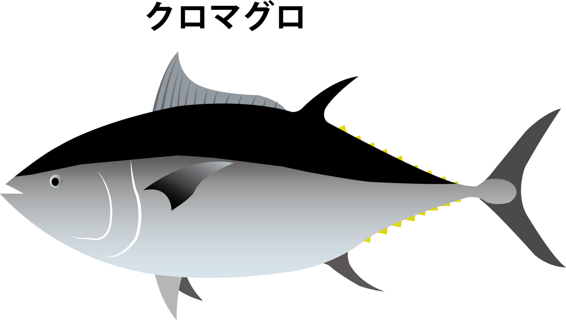 324f9e26a553365f99104cbed05245