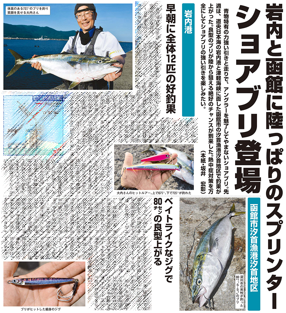 水交社 北海道のつり 北海道の釣り バックナンバー 大量 99冊セット 釣り情報 水交社 北海道のつり 北海道の釣り バックナンバー 大量 99冊